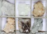Mixed Indian Mineral & Crystal Flat - Pieces #95603-2